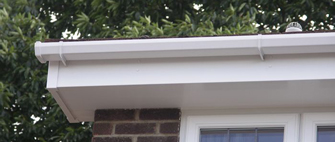 fascias essex