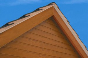 02 Cladding Essex
