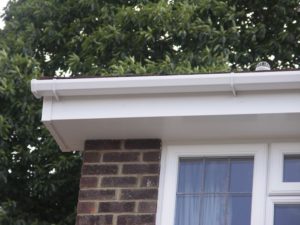 03 Soffits Essex