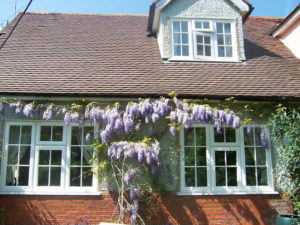 05 Timber Alternative Windows